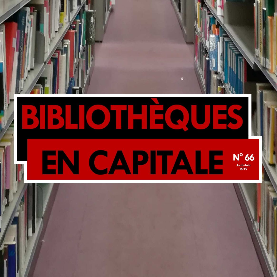 Bibliothèques en capitale