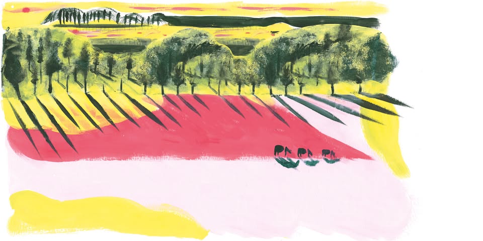 Illustration réalisée par Giulia Vetri, décor dans les campagnes