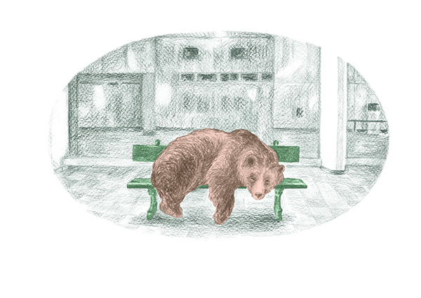 Illustration issue de Bastien, ours de la nuit aux éditions Versant Sud Jeunesse